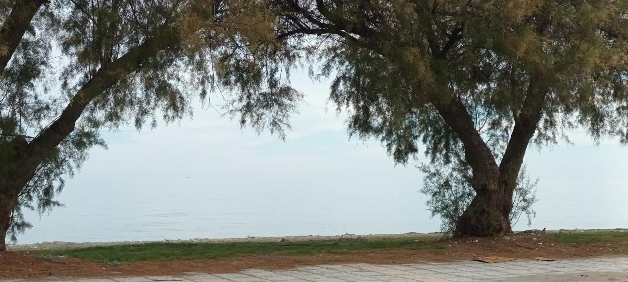 Mana Mia Seaside Apartments Λεπτοκαρυά Εξωτερικό φωτογραφία