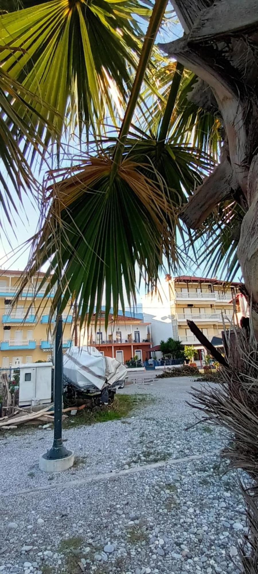 Mana Mia Seaside Apartments Λεπτοκαρυά Εξωτερικό φωτογραφία