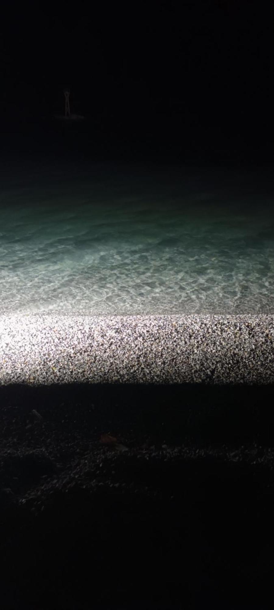 Mana Mia Seaside Apartments Λεπτοκαρυά Εξωτερικό φωτογραφία